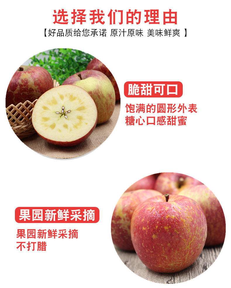 云南版苹果手机官网iphone云服务官网登录-第2张图片-太平洋在线下载