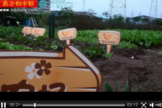男友为我建造真实的“开心农场”<strongalt=