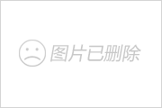 荣耀狂欢节首战告捷 408手机狂欢节会成为另一个双11吗<strongalt=