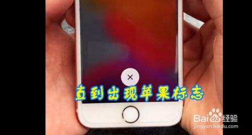 苹果手机查看开机多久iphone激活时间查询-第2张图片-太平洋在线下载