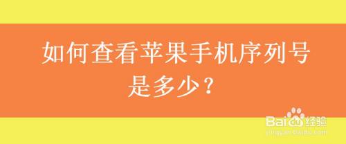 如何看苹果手机是几代苹果手机有几代分别是哪几代-第2张图片-太平洋在线下载