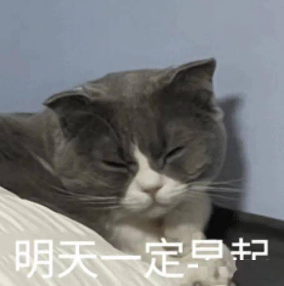 华为手机g7移动版
:老黄：ChatGPT是AI届iPhone/ 马斯克半夜在推特修Bug/ 国内C刊：用聊天机器人不许隐瞒...今日更多新鲜事在此-第1张图片-太平洋在线下载