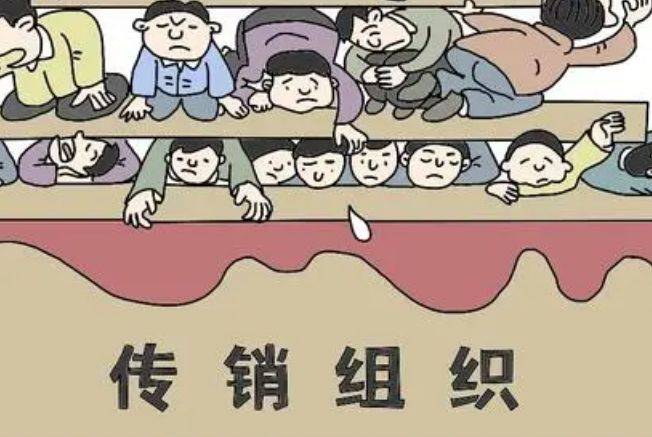 全球加盟网商家版苹果端:中粤兀元素丨兀元素价值电商：网络传销新套路-第1张图片-太平洋在线下载