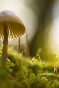 虚拟帮手旗舰版苹果版-第3张图片-太平洋在线下载 虚拟帮手旗舰版苹果版-第3张图片-太平洋在线下载