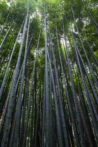 介子空间苹果版下载-第1张图片-太平洋在线下载 介子空间苹果版下载-第1张图片-太平洋在线下载