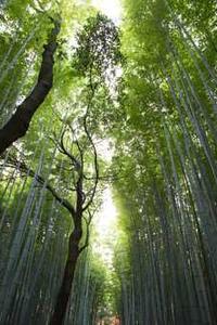 末日危机苹果版下载安卓版-第3张图片-太平洋在线下载 末日危机苹果版下载安卓版-第3张图片-太平洋在线下载