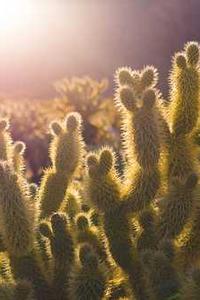 wwe游戏手机版下载-第3张图片-太平洋在线下载 wwe游戏手机版下载-第3张图片-太平洋在线下载