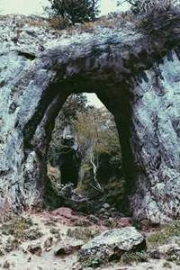 闪电兔app苹果版-第3张图片-太平洋在线下载 闪电兔app苹果版-第3张图片-太平洋在线下载