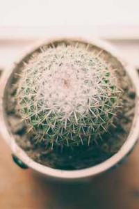 火花思维课堂苹果版下载-第1张图片-太平洋在线下载 火花思维课堂苹果版下载-第1张图片-太平洋在线下载