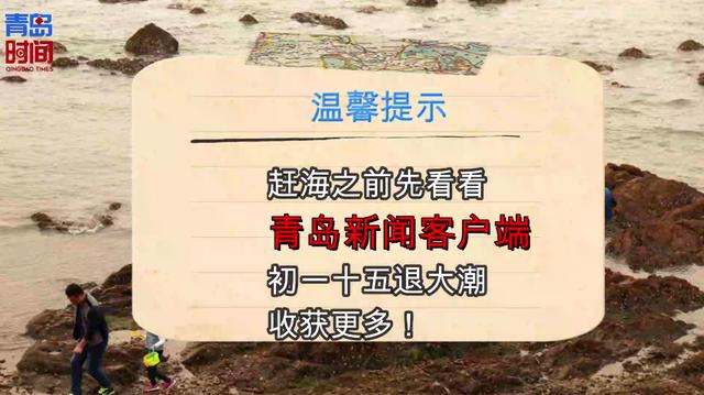 打开青岛新闻客户端qtv1青岛新闻回放
