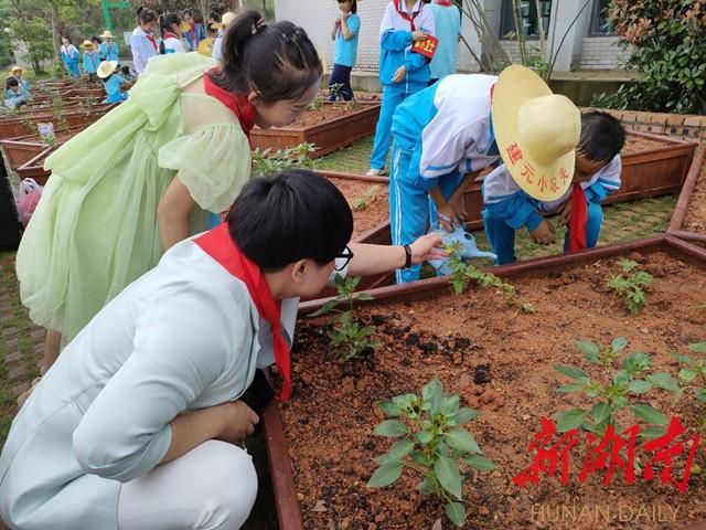 风车服务客户端长安汽车车联网客服系统官网