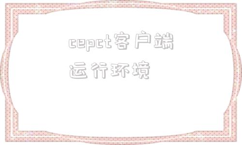 cepct客户端运行环境三国运行环境不安全封停