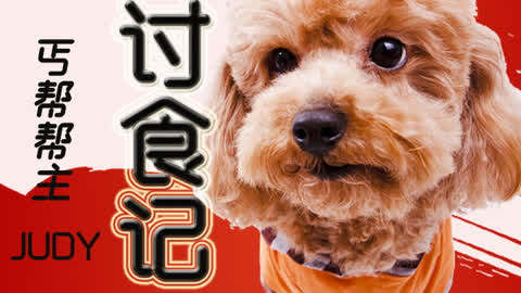 指头邦安卓版助手安卓版电脑版