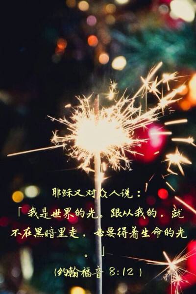 电子圣经手机版(电子书圣经免费下载)-第5张图片-QuickQ官网