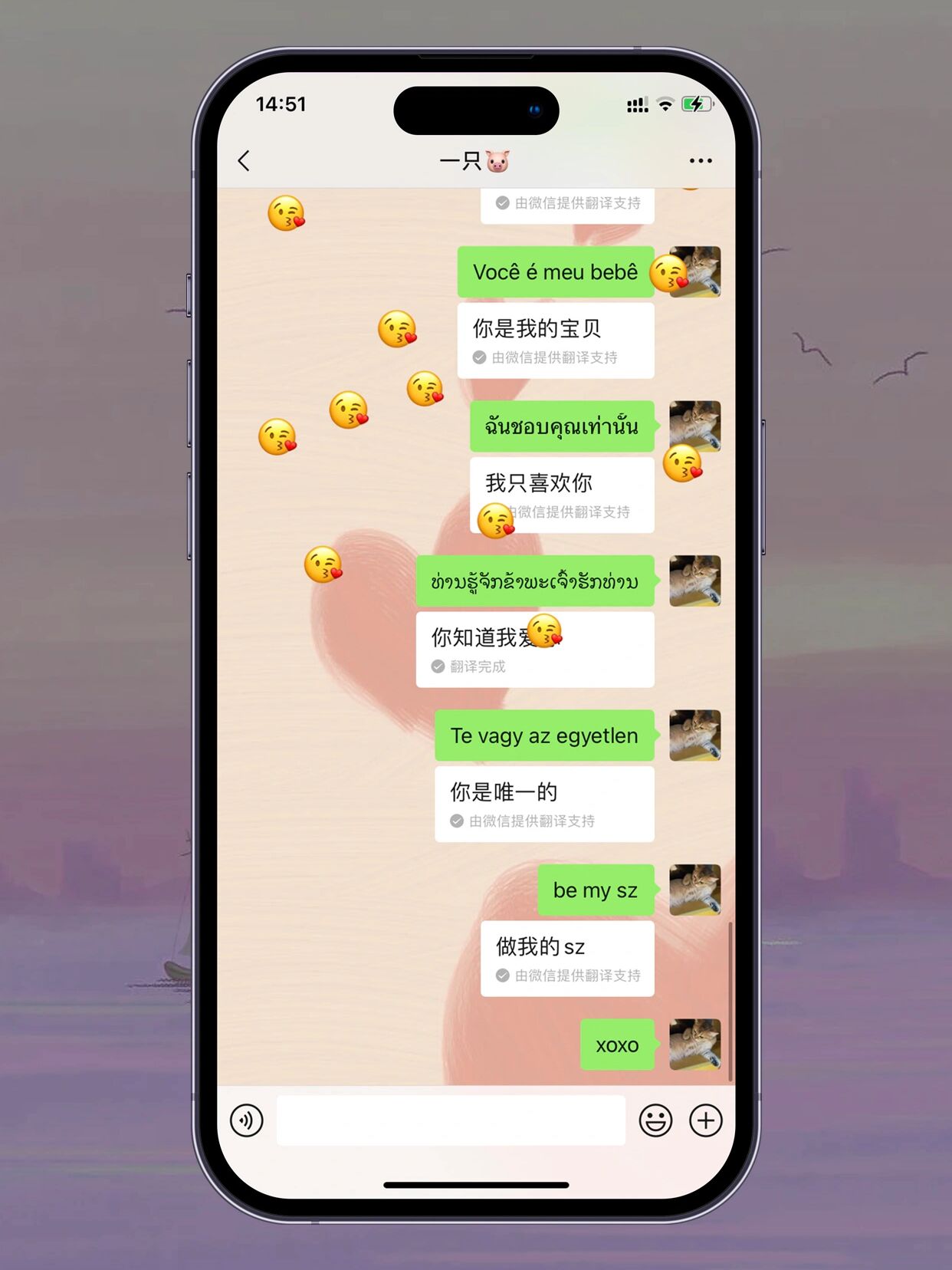 苹果版表白(苹果表 白苹果)-第5张图片-QuickQ官网