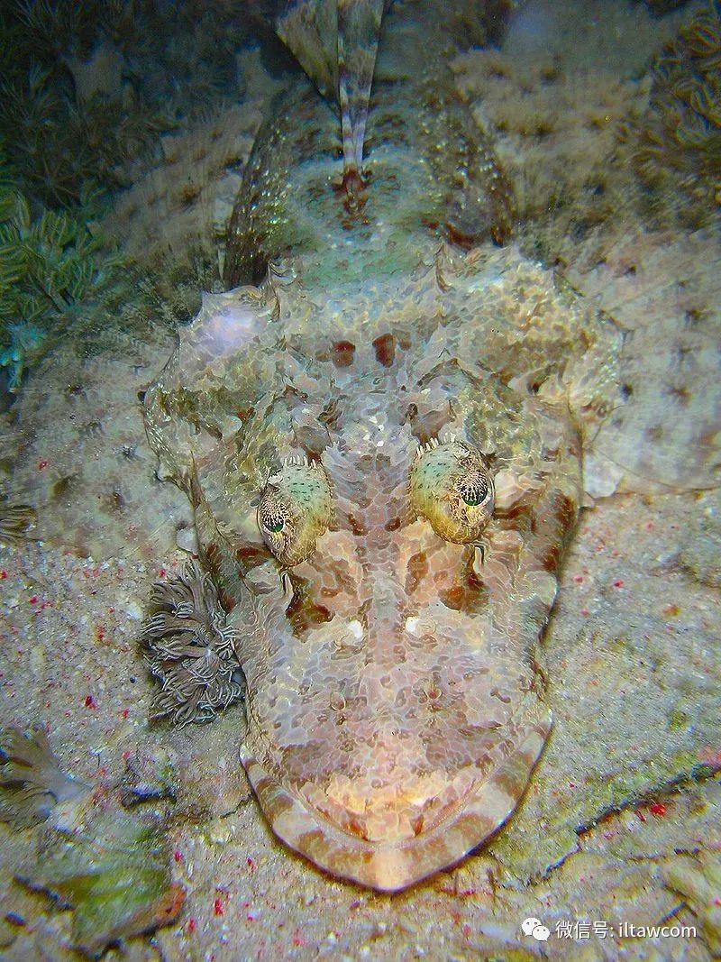 博鱼手机版官网登录(博鱼电子竞技官网app)-第2张图片-QuickQ官网