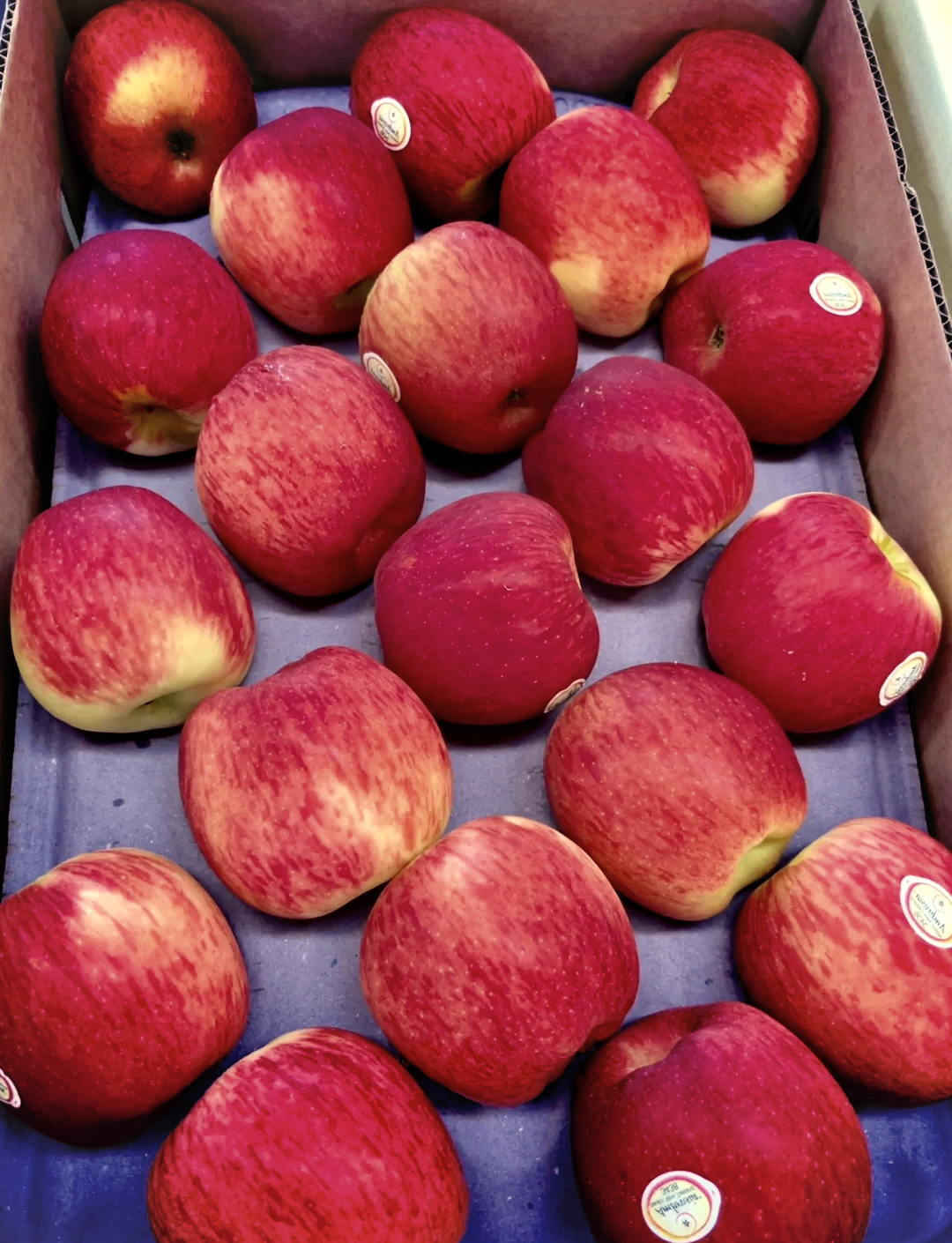 柬版苹果(柬埔寨买的苹果手机是港版)-第5张图片-QuickQ官网 柬版苹果(柬埔寨买的苹果手机是港版)-第5张图片-QuickQ官网